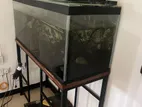 Fish Tank with Stand