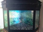 Fish Tank with Stand