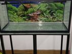 Fish tank with Stand