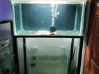 Fish Tank with Stand