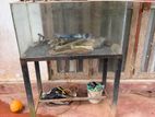 Fish Tank with Stand