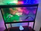Fish Tank with Stand