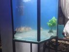 Fish Tank With Stand.
