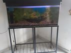 Fish Tank with Stand
