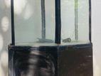 Fish Tank with Stand