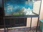 Fish Tank with Stand