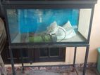 Fish Tank With Stand