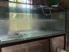 Fish Tank with Stand