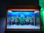Fish Tank With Stand