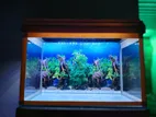 Fish Tank With Stand