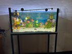 Fish Tank with Stand