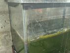 Fish Tank with Stand