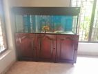 Fish Tank with Stand