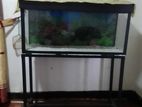 Fish Tank with Stand