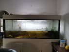 Fish Tank with Stand