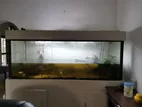 Fish Tank with Stand