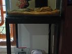 Fish Tank with stand