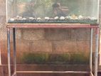 Fish Tank with Stand