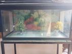 Fish Tank with Stand