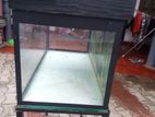 Fish Tank with Accessories