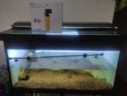 Fish Tank with Accessories