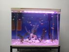 Fish Tank with Steel Stand