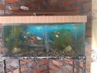 Fish Tank with Steel Stand