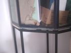 Fish Tank with Stand