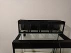 Fish Tank with Top Filter