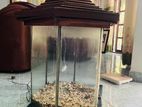 Fish Tank With Wooden Hut