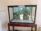 Fish Tank with Wooden Stand