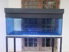 Fish Tank (1.5m)