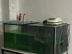 3ft Fish Tank