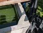 Fish Tanks (4 X4)