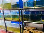 Fish Tanks Lot