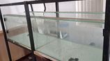 Fish Tanks Bulk