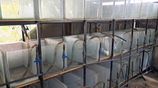 Fish Tanks Bulk