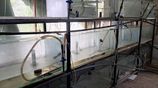 Fish Tanks Bulk