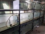 Fish Tanks