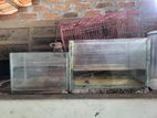 Fish Tanks