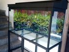 Fish Tanks