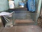 Fish Tanks