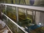 Fish Tanks