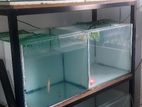 Fish Tanks