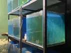 Fish Tanks