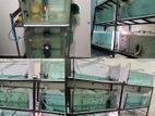 Fish Tanks