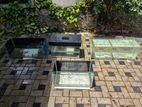 Fish Tanks