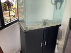 Fish Tanks