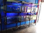 Fish Tanks Lot