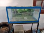fish tanks